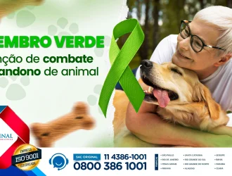 Dezembro verde